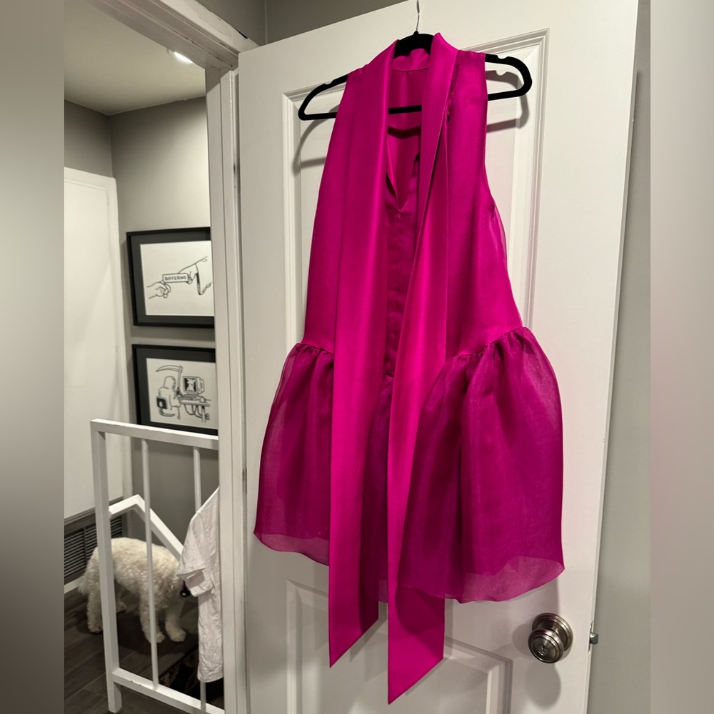 Azeeza // Marie Silk Organza Minidress